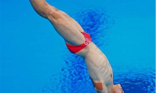 伦敦奥运会男子跳水_伦敦奥运会男子跳水冠军