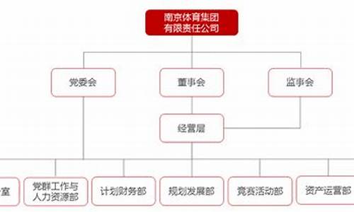 体育赛事组委会组织架构_体育赛事组委会组织架构图